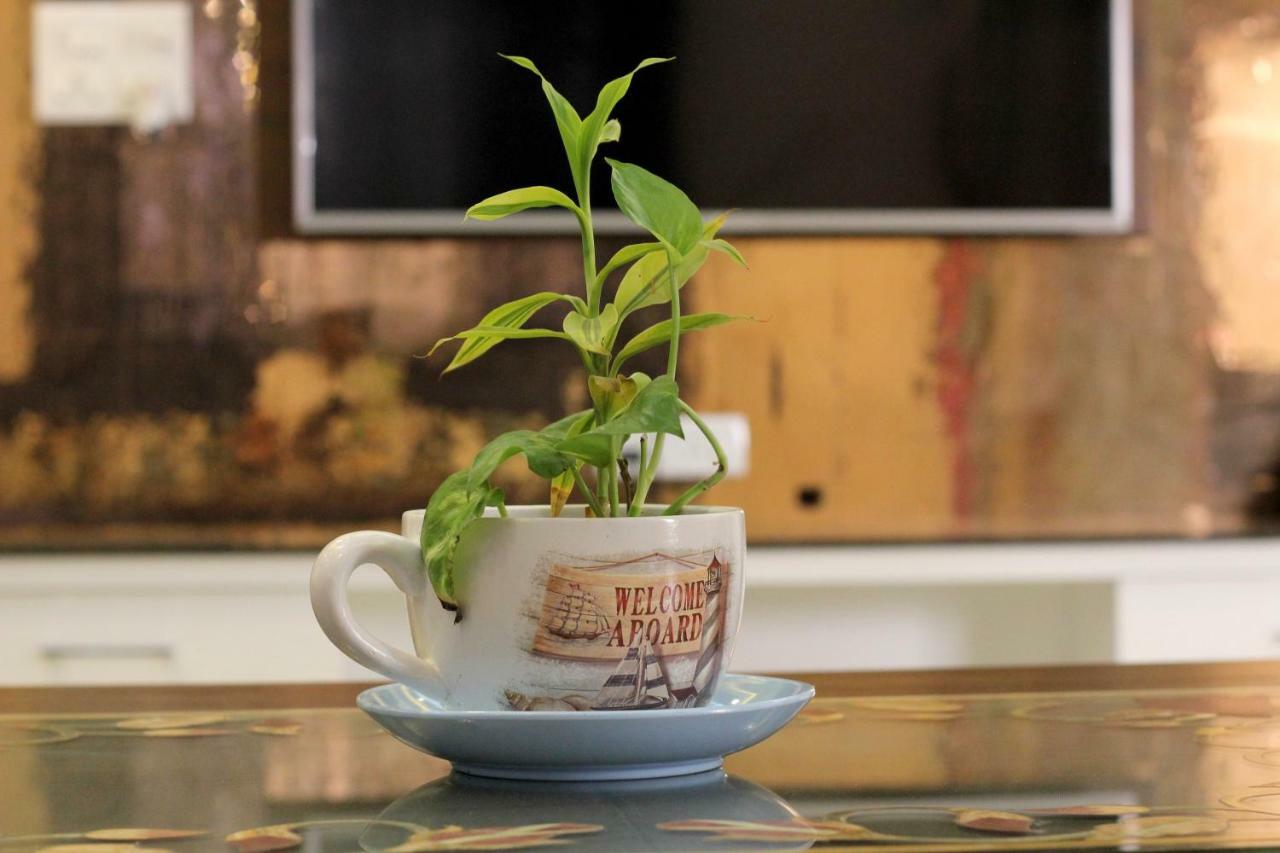 The Hideout Agra - Homestay Near Taj エクステリア 写真